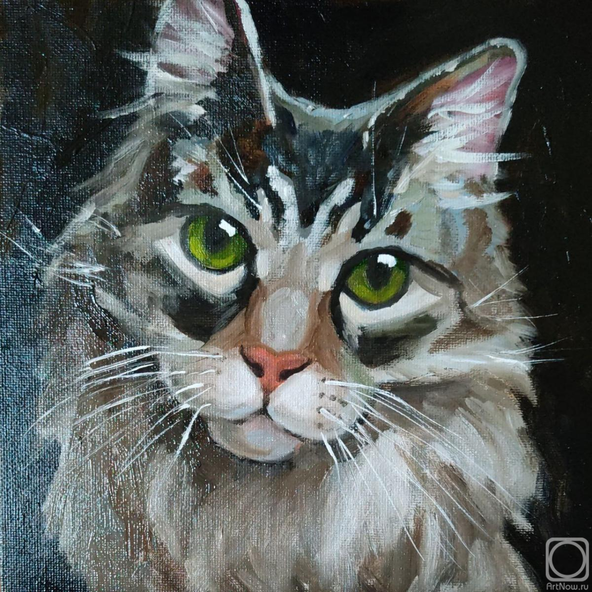 Lapina Albina. Cat painting grey cat artwork original oil art pet portrate