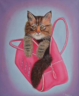 Cat in a purse. Kuzina Galina