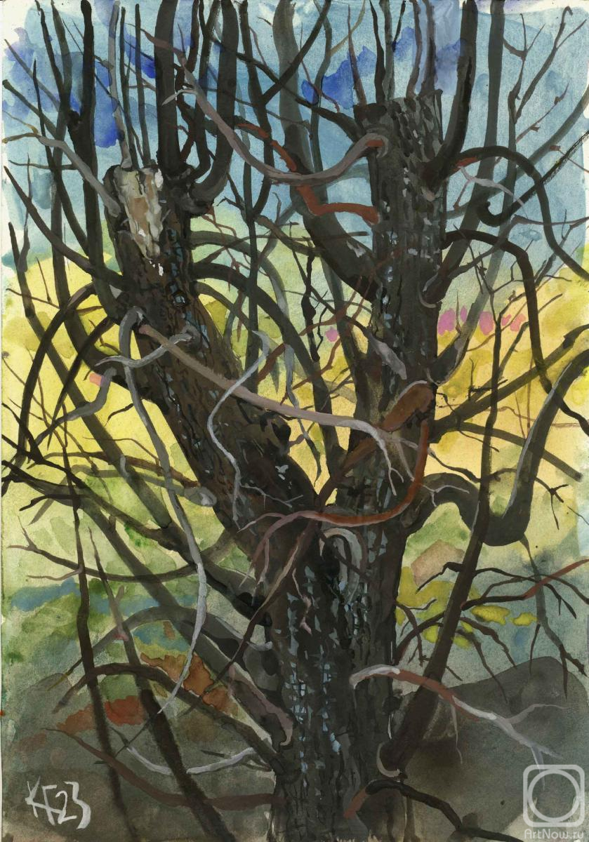 �������. �������� ������. ������� �������