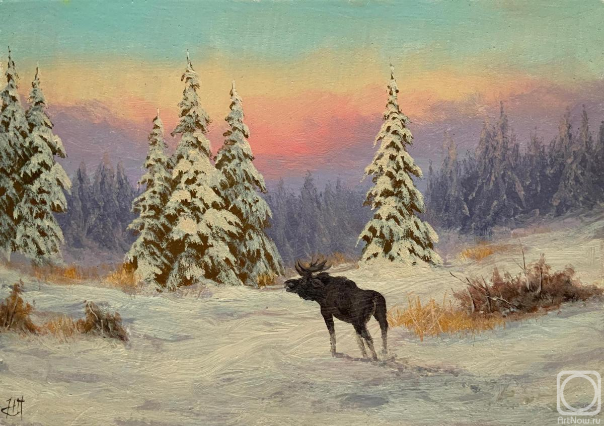 Lyamin Nikolay. Elk on the Edge of the Forest