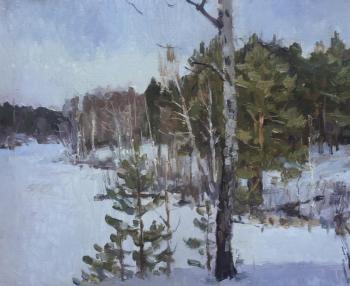 Winter .oil.canvas. Titov Dmitriy