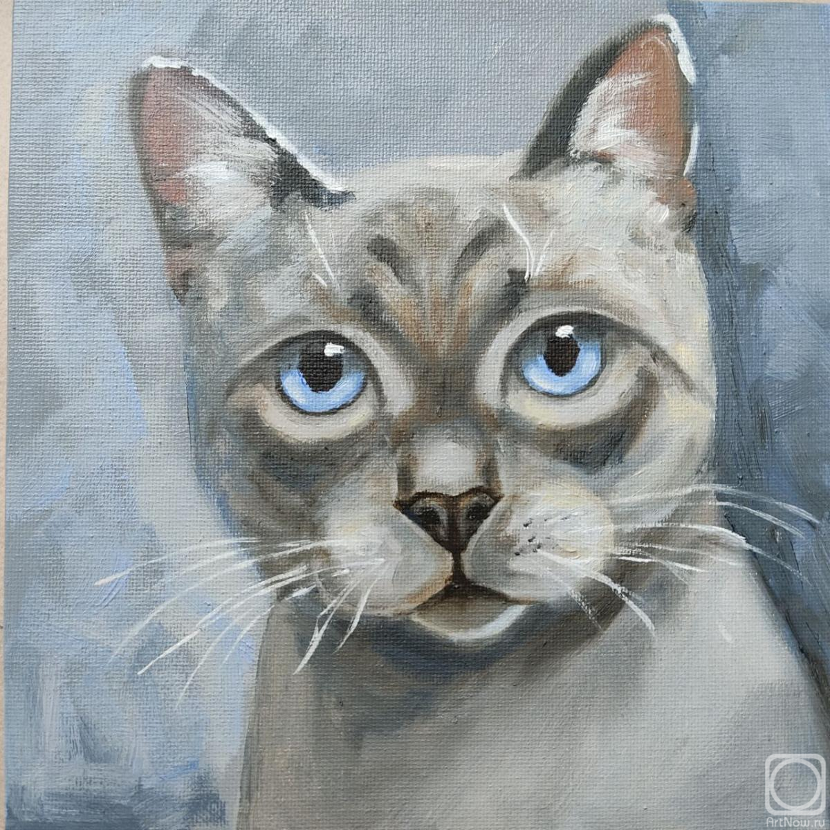 Lapina Albina. Cat painting Siamese cat artwork original oil on canvas art pet portrate