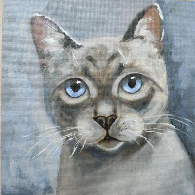 Cat painting Siamese cat artwork original oil on canvas art pet portrate. Lapina Albina