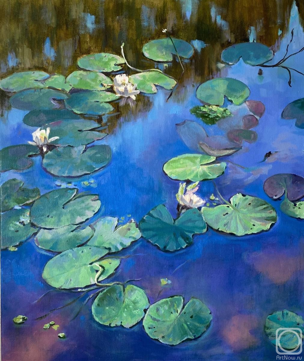 Vaveykina Svetlana. Water lilies