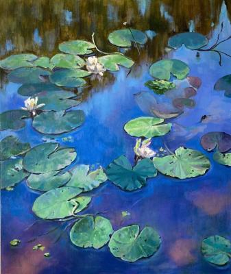 Water lilies (Water Lilies In The Water). Vaveykina Svetlana