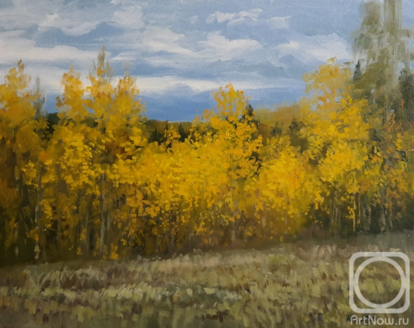 ������� ������ �� ������. ���������� ������. ������������ �����