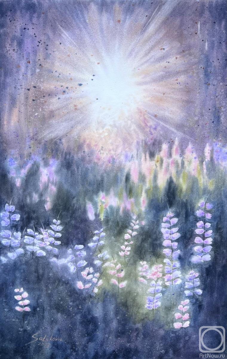 �������. �������� �����. ��������� ����