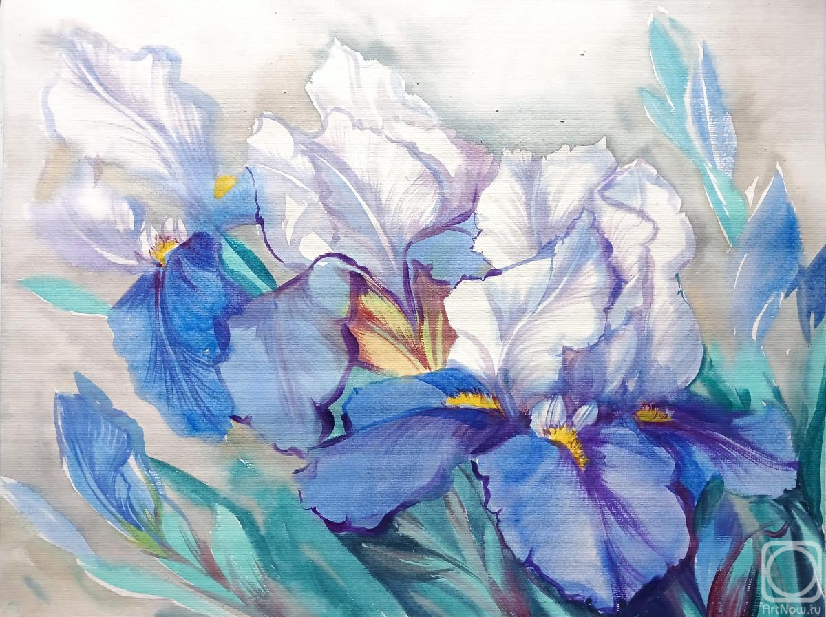 �������. ���������� ���������. ����������� ������