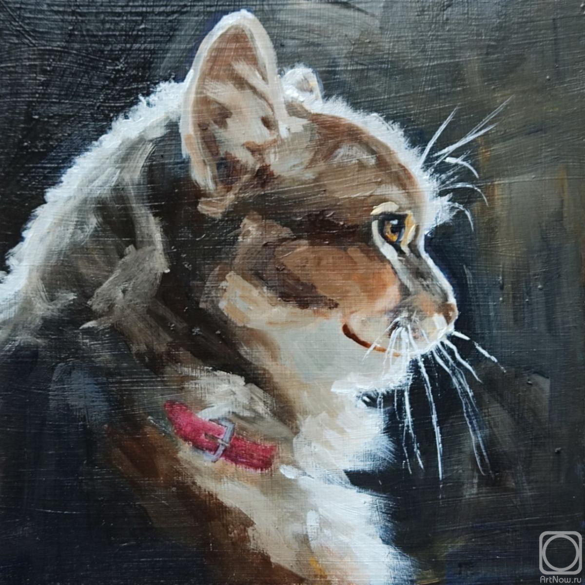 �������. ������ �������. �����