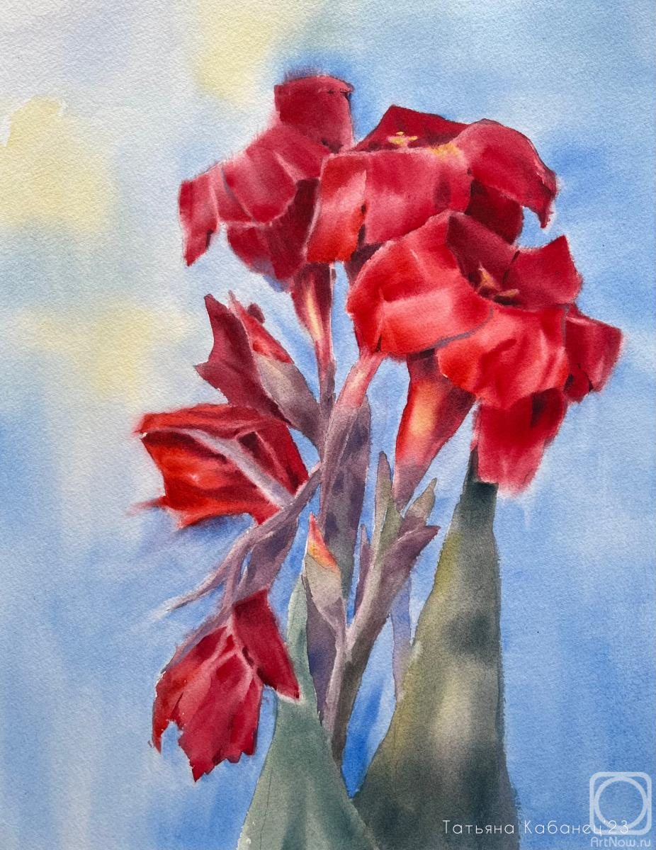 �������. ������� �������. ������