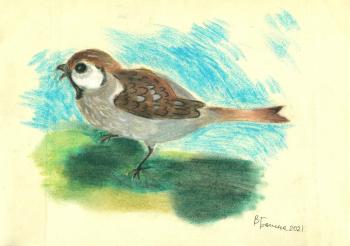 �������