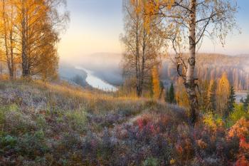 Golden autumn. Trutnev Nikolay