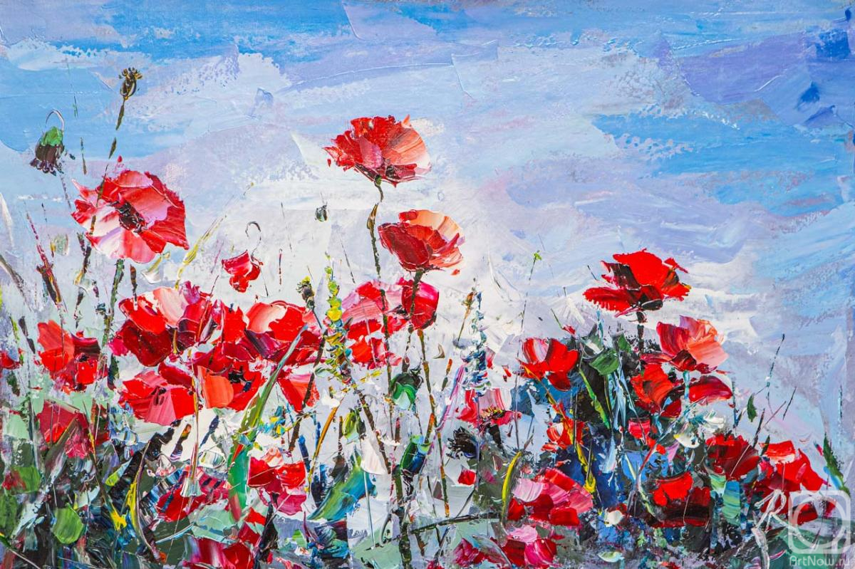 Rodries Jose. Red poppies in a green field