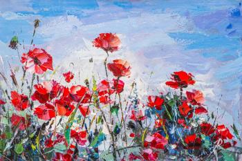 Red poppies in a green field (Oil Poppies). Rodries Jose