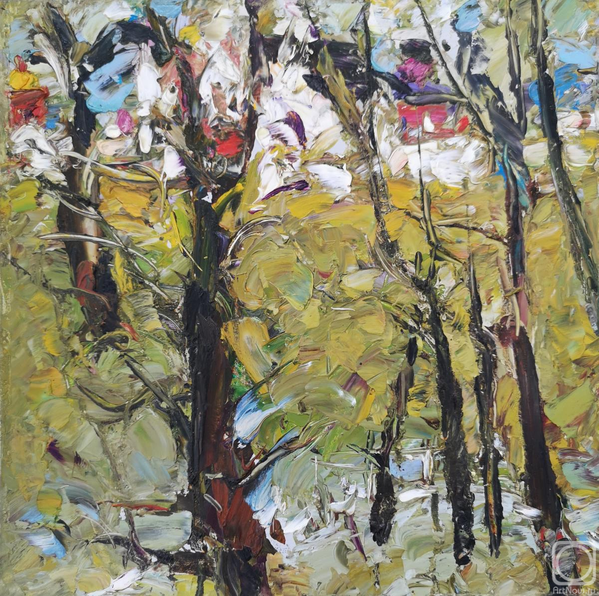 �������. ������� ������. ���� �����������