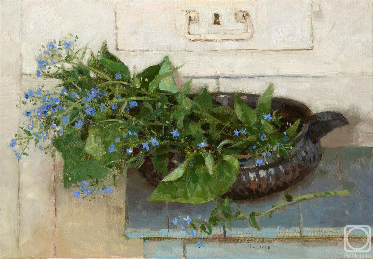 ������� ������ �� ������. ������� �������. �������� �����