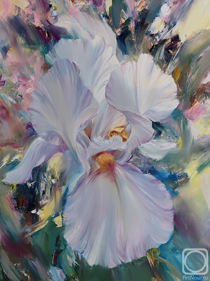 ������� ������ �� ������. �������� ������. �����