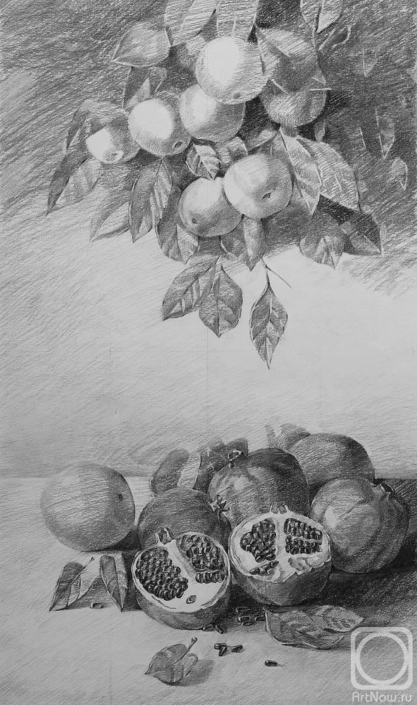Tokarev Evgeniy. Apple tree and pomegranates