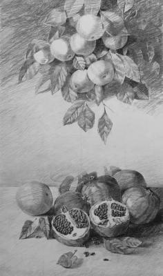 Apple tree and pomegranates. Tokarev Evgeniy