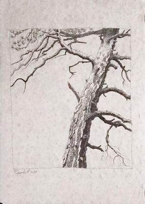 �����. �������� �����