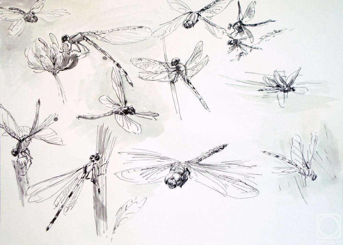 Miroshnikov Dmitriy. Dragonflies (2)