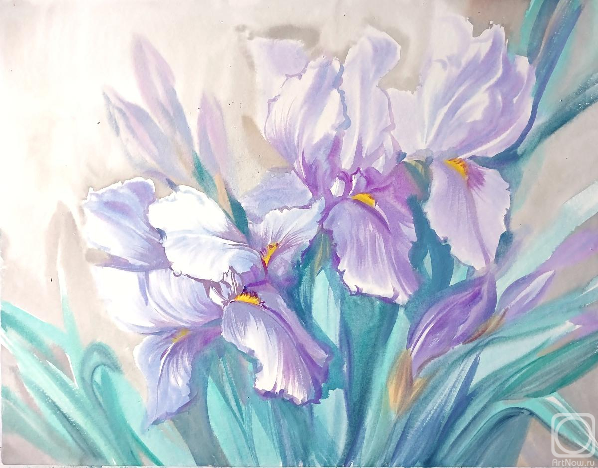 �������. ���������� ���������. ������ �����