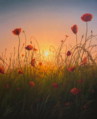 ������� ��������