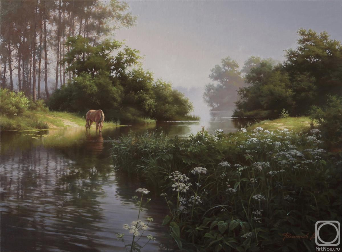 ������� ������ �� ������. �������� ������. ���� ��������