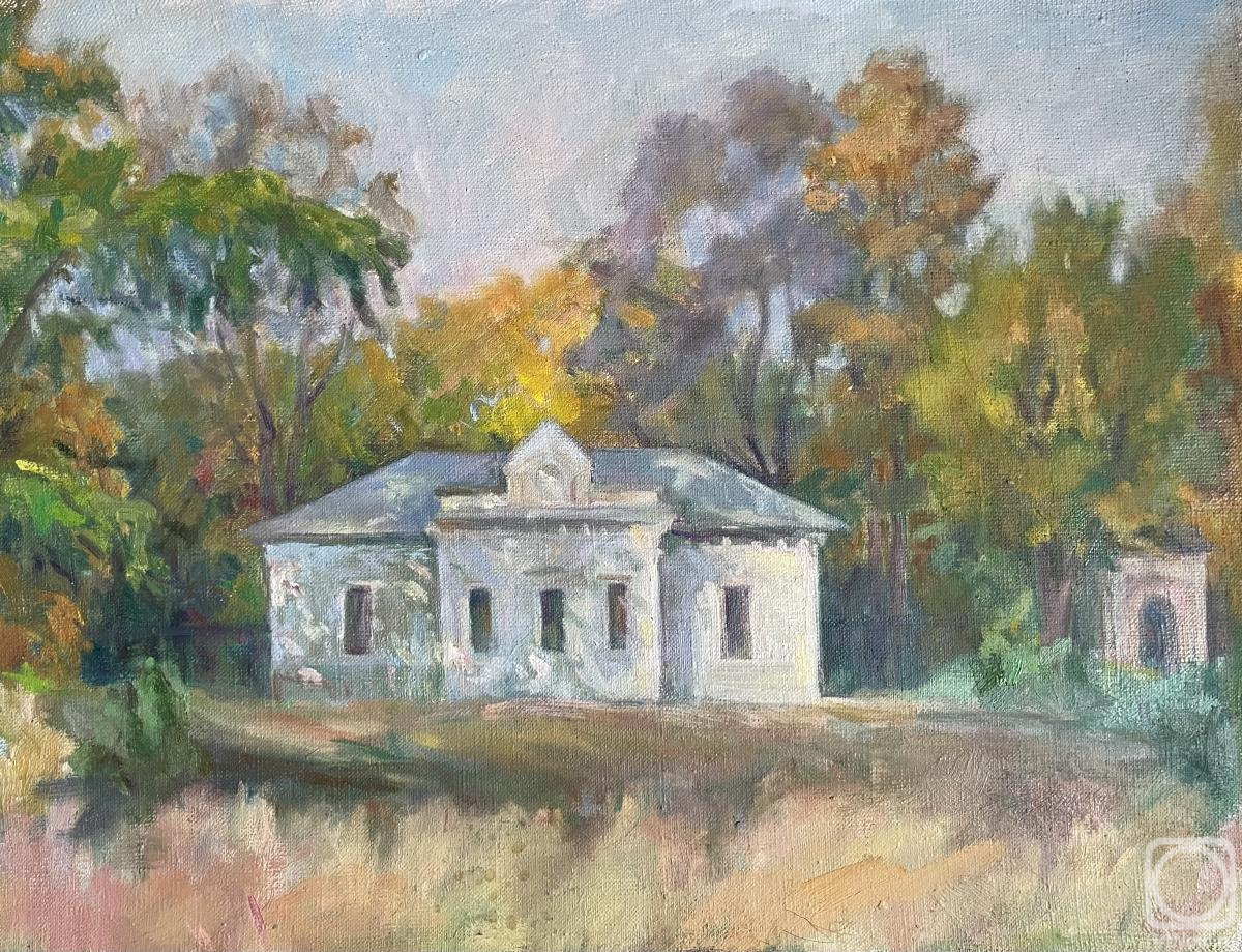 Blazhievskaya Mariya. Kazan. House on Yershov street