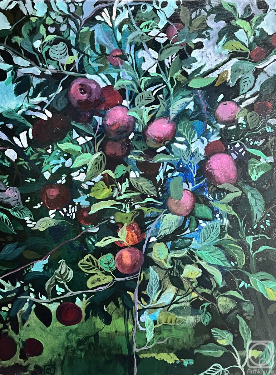 ������� ������ �� ������. ������� �����. ������ �������