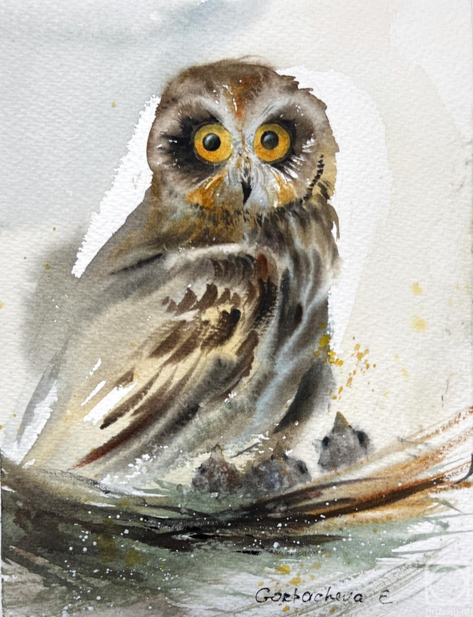 Gorbacheva Evgeniya. Owl in the nest
