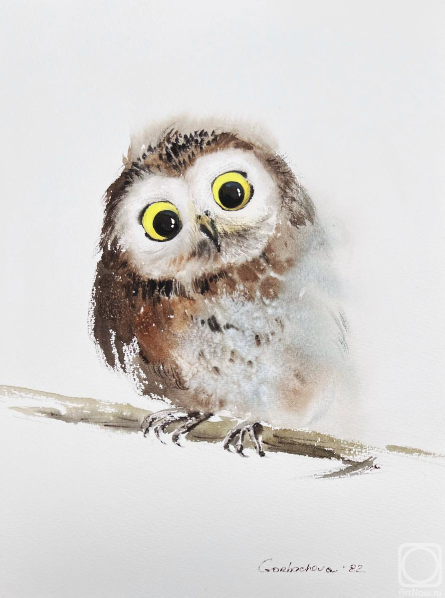 Gorbacheva Evgeniya. Little owl on a branch #9