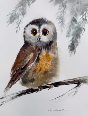 Little owl on a branch #8. Gorbacheva Evgeniya