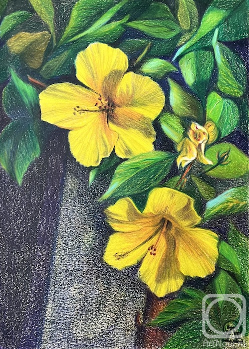 �������. �������� ������. Ƹ���� ��������