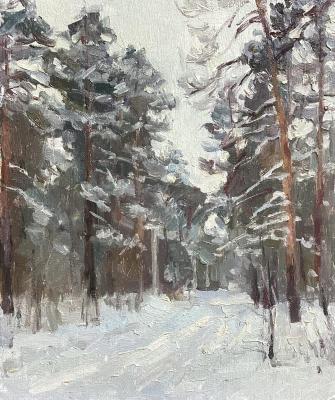 Winter. Titov Dmitriy