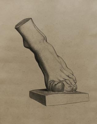 Copy of the lithograph. Charles Bargue "Foot" (Old Master). Ramonova Olga