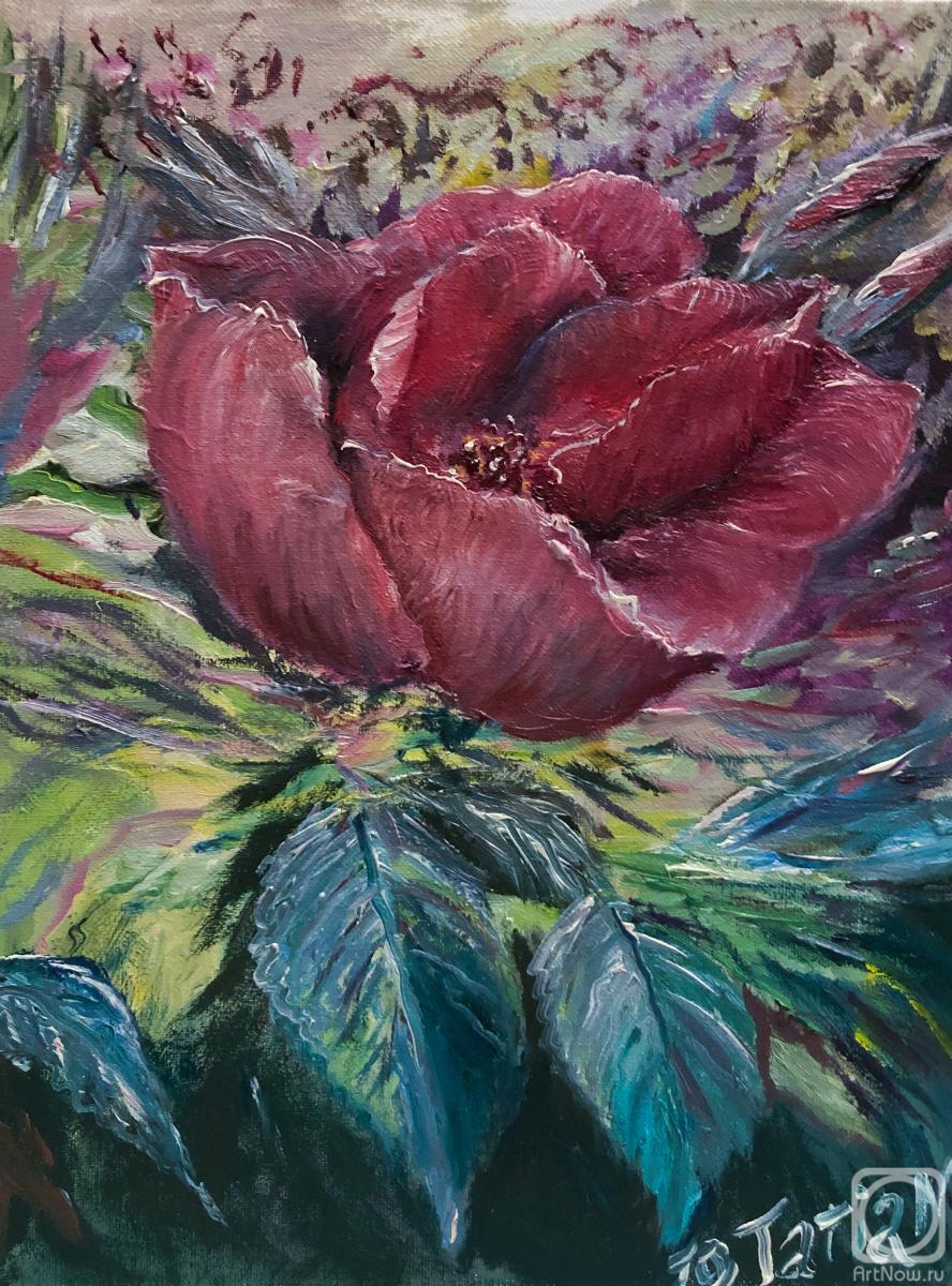 ������� ������ �� ������. ���������� �������. ������� ������