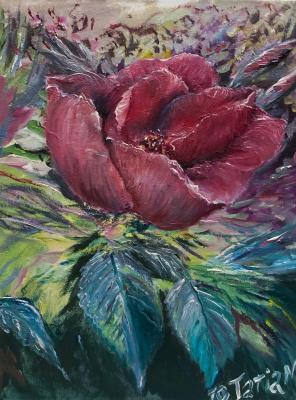 ������� �������� ������