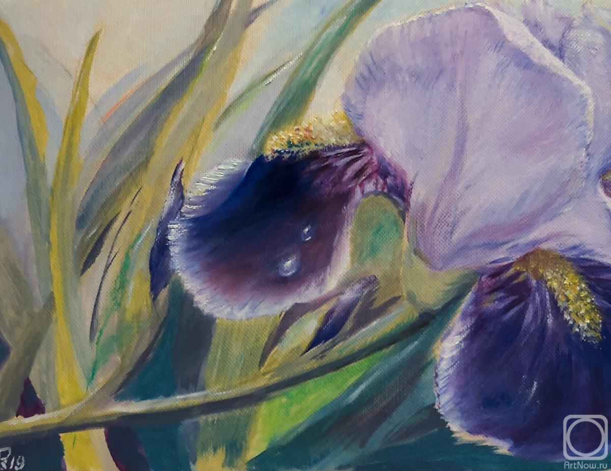 �������. ���������� �������. ����