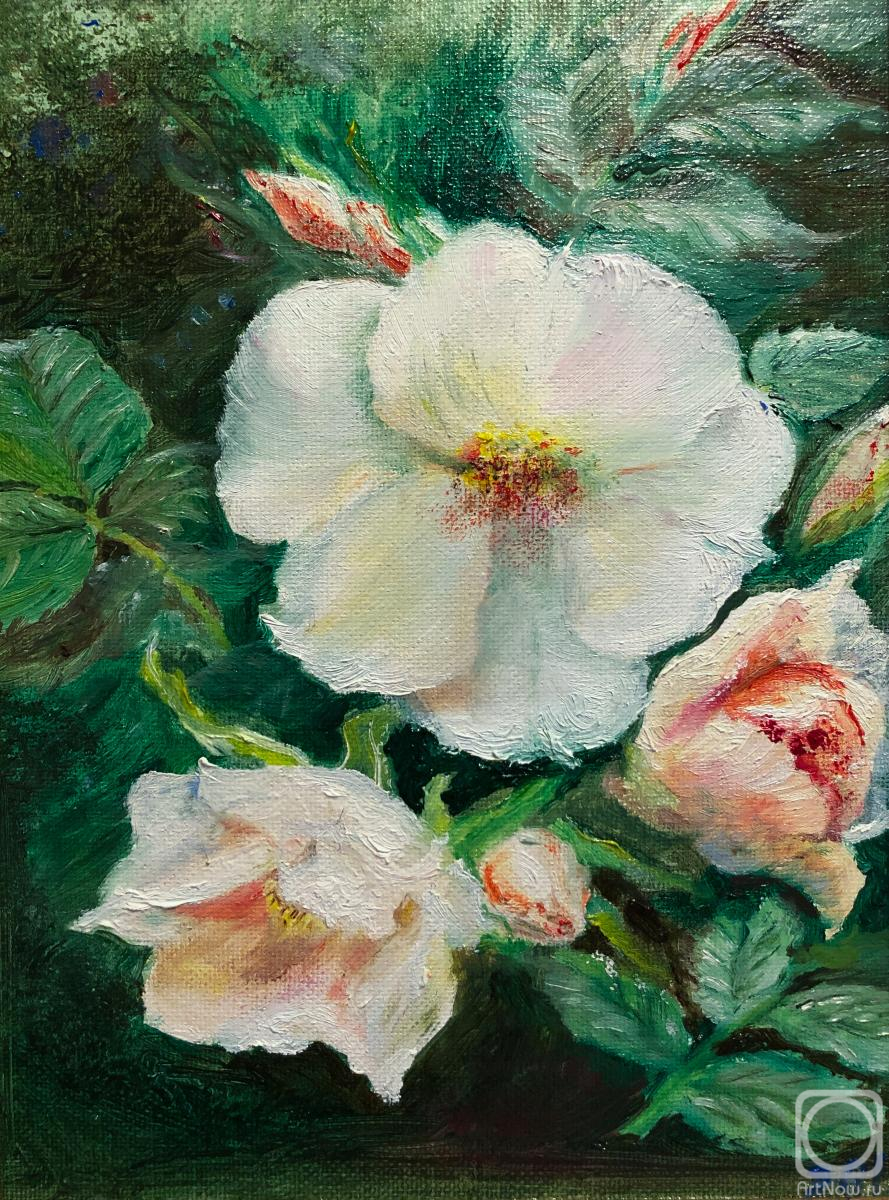 ������� ������ �� ������. ���������� �������. ��������