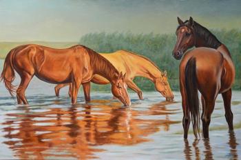 ������� �����