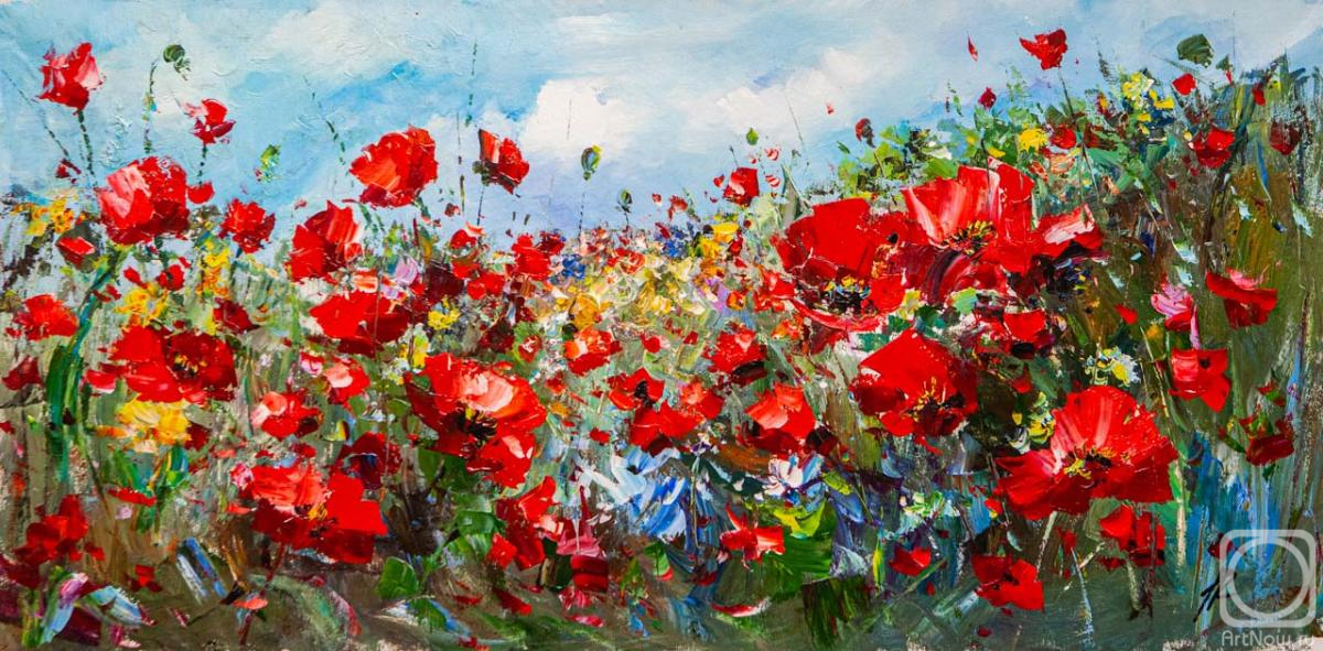 Rodries Jose. When the poppies bloom