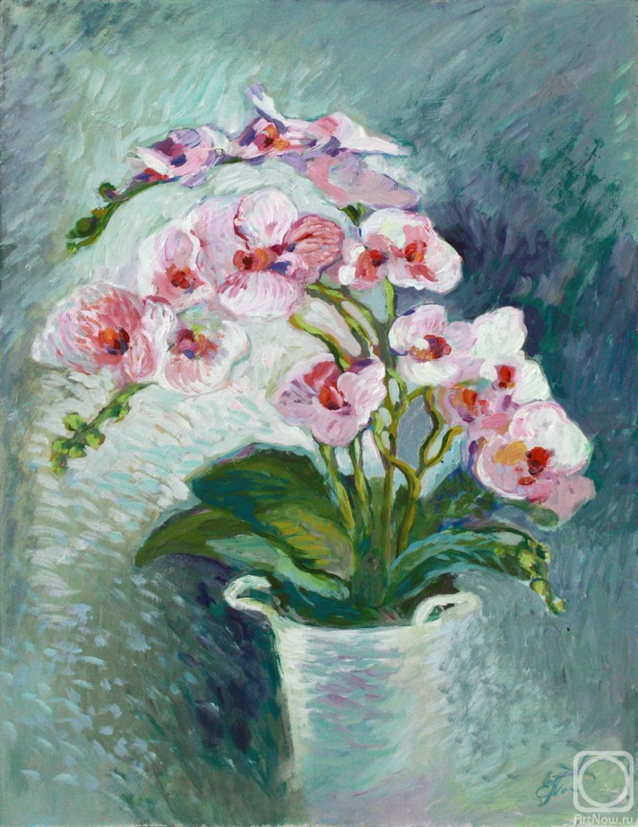 �������. �������� �����. ����-������� �������