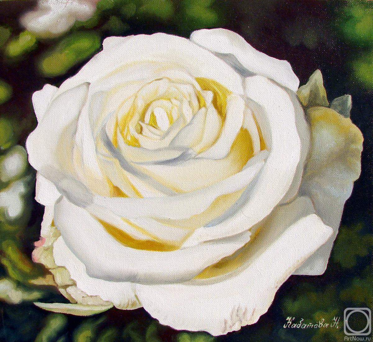 ������� ������ �� ������. �������� �������. ����