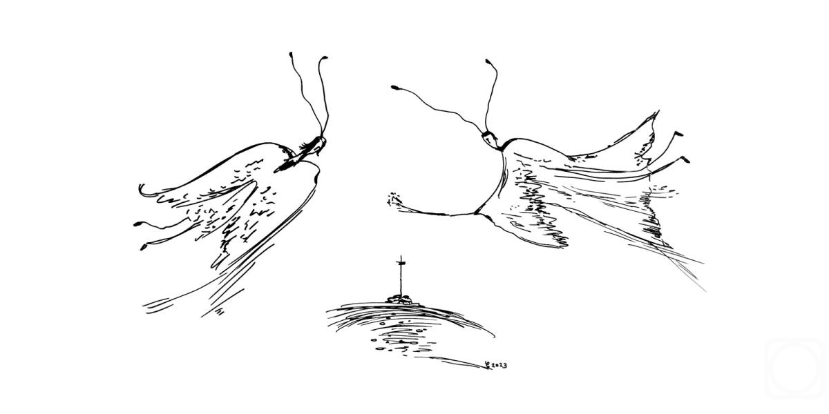 �������. �������� ��������. ��� ������