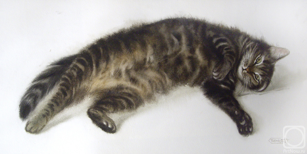 Takmakova Natalya. Cat with stripes