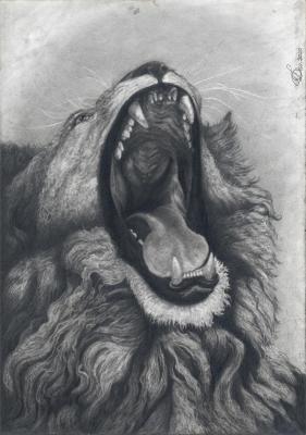 ������� ���. ��������� ���������