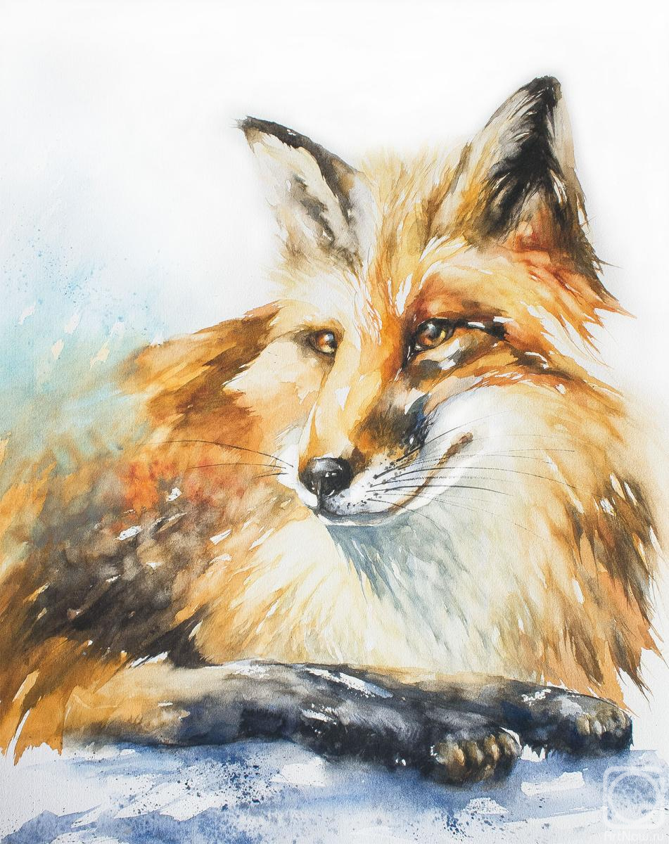 �������. ����������� �������. ���