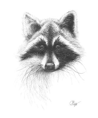 ������� �����