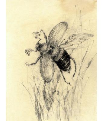 ������� �������� ���